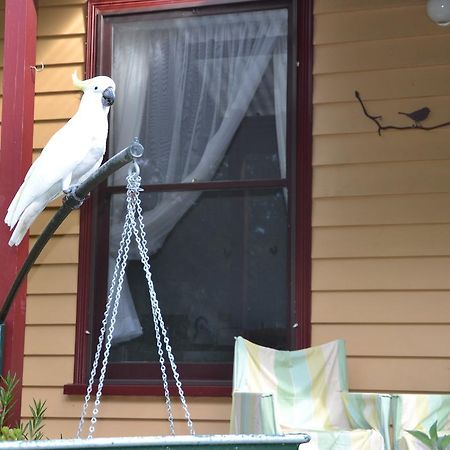 Lemonade Creek Cottages Lorne Buitenkant foto