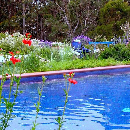 Lemonade Creek Cottages Lorne Buitenkant foto