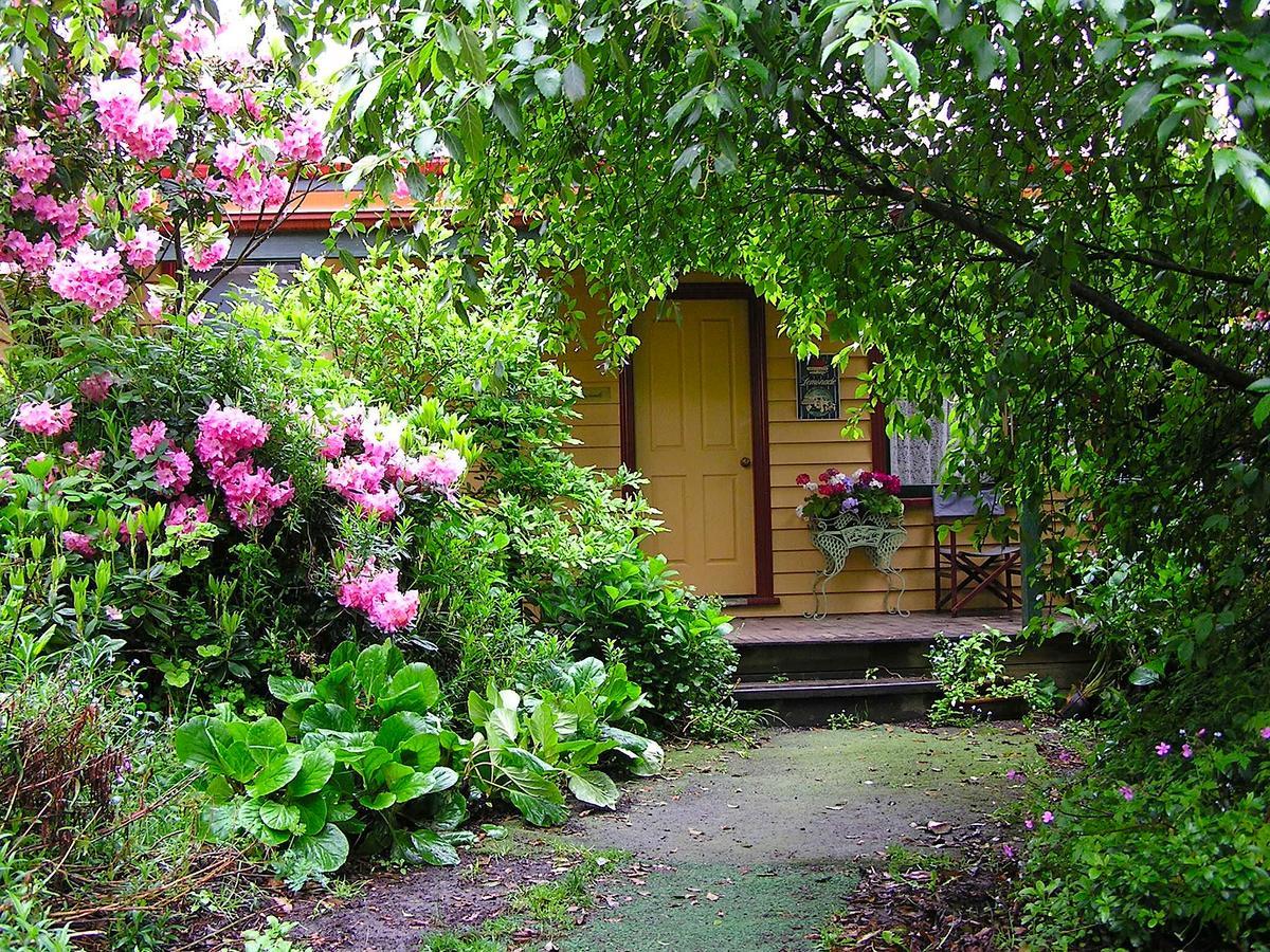 Lemonade Creek Cottages Lorne Buitenkant foto