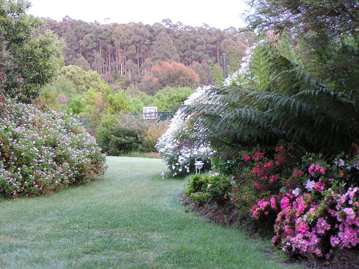 Lemonade Creek Cottages Lorne Buitenkant foto