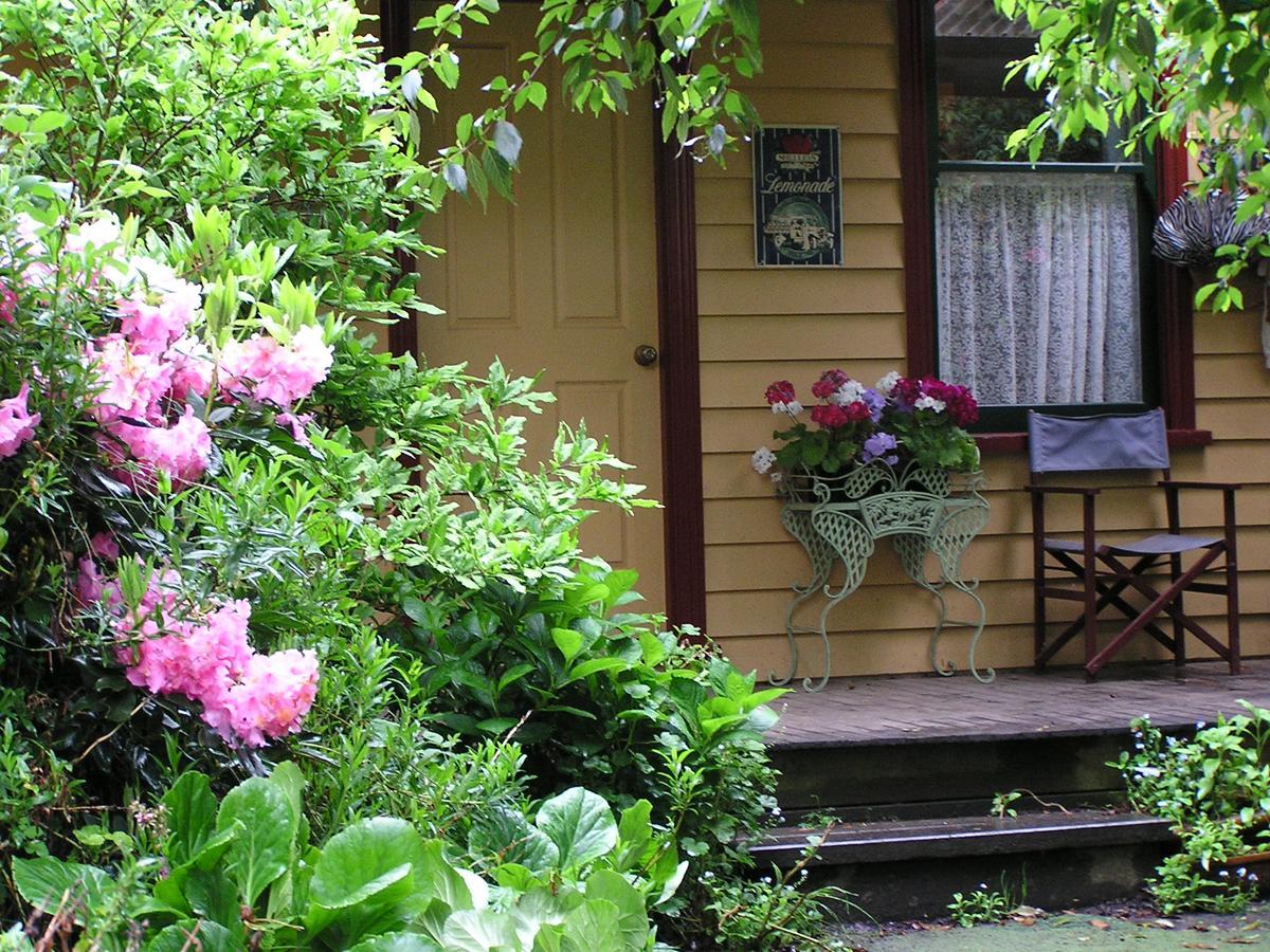 Lemonade Creek Cottages Lorne Buitenkant foto