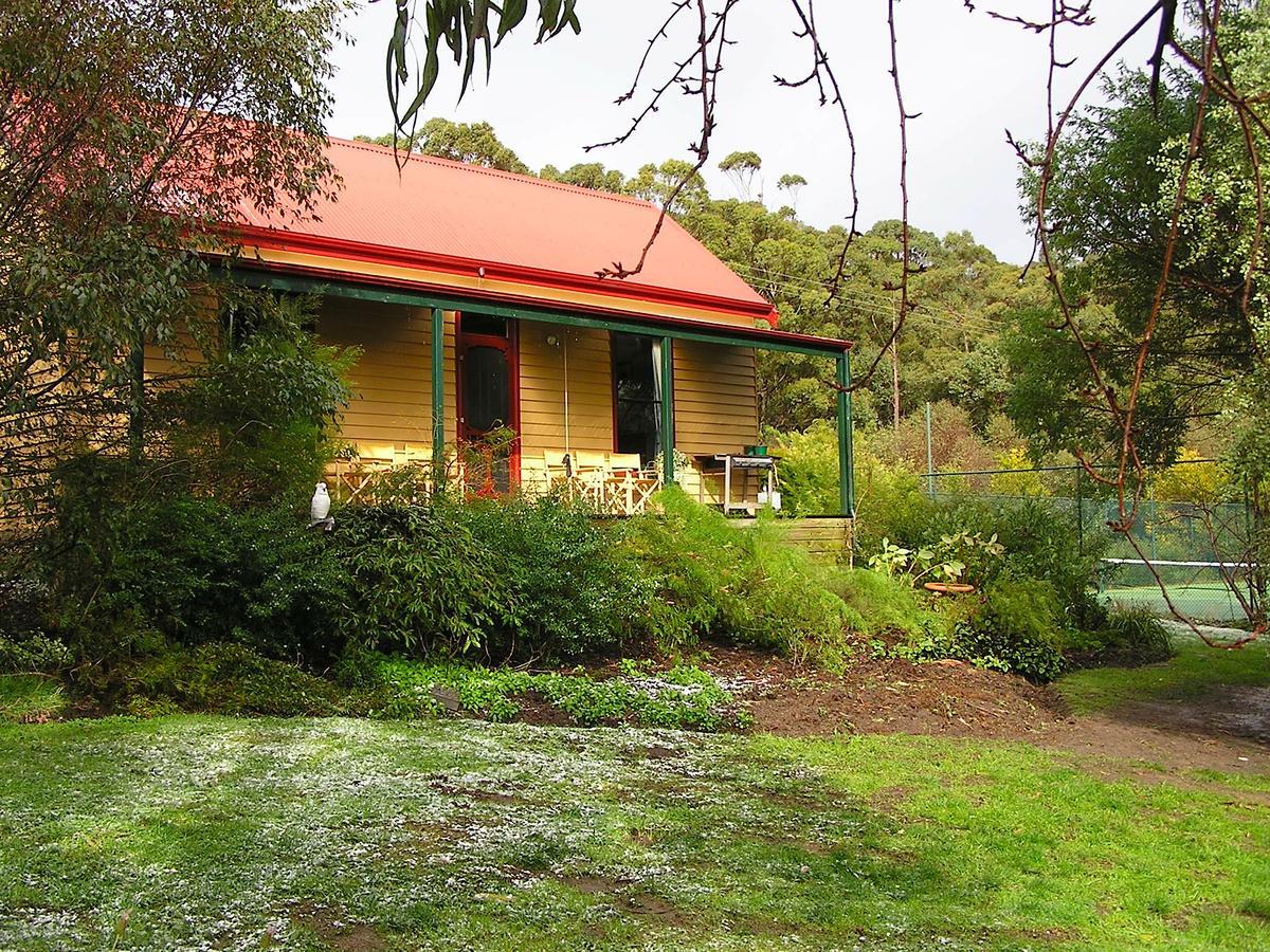 Lemonade Creek Cottages Lorne Buitenkant foto