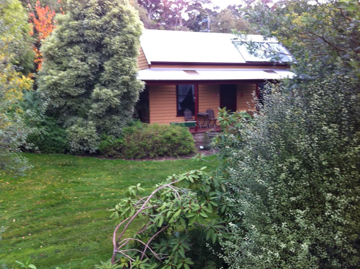 Lemonade Creek Cottages Lorne Buitenkant foto