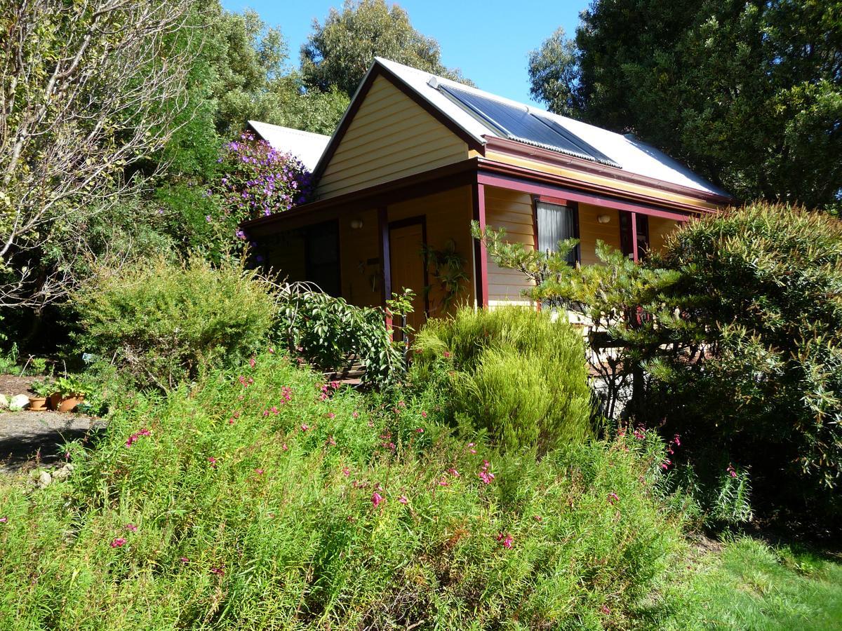 Lemonade Creek Cottages Lorne Buitenkant foto
