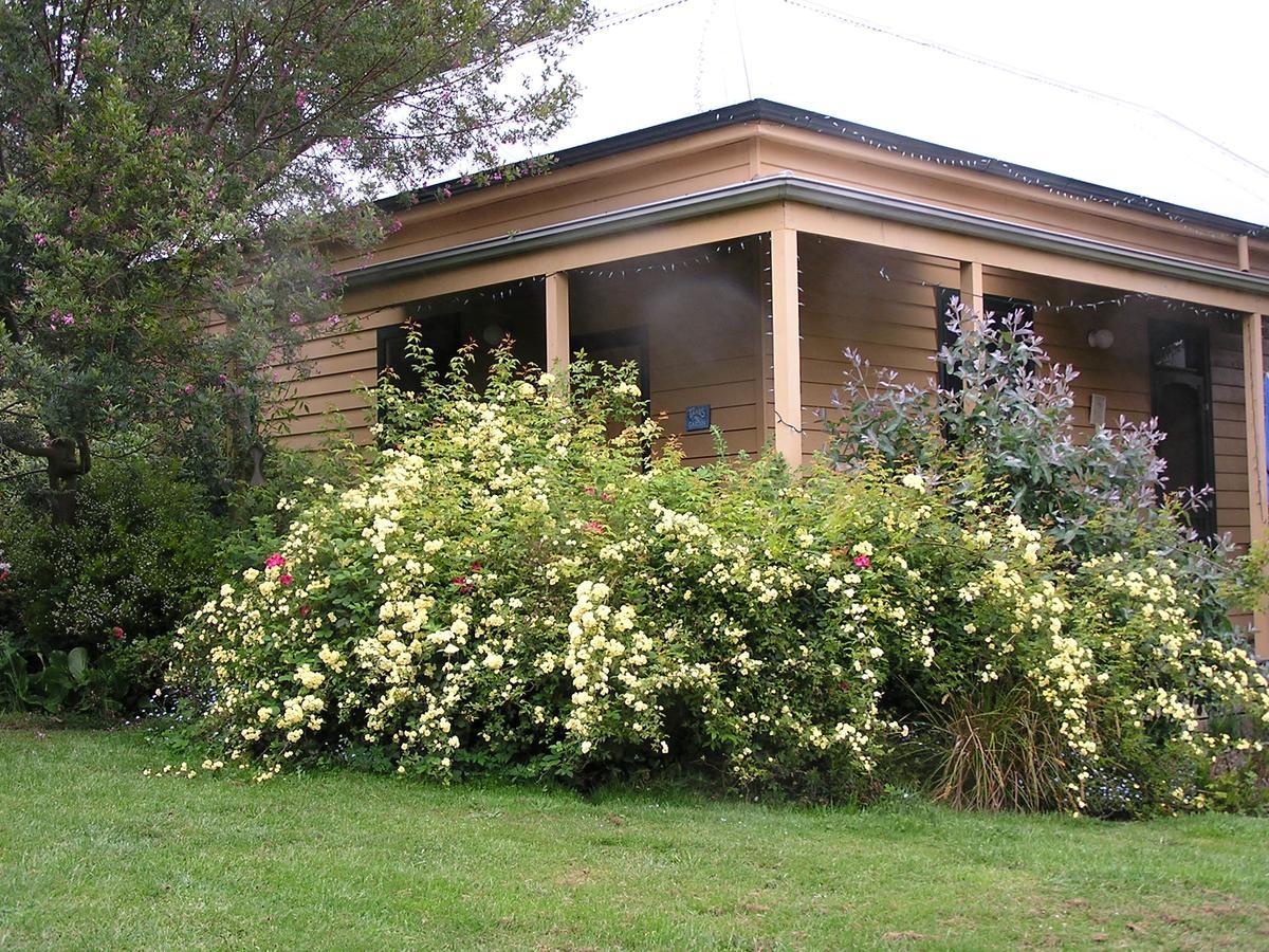 Lemonade Creek Cottages Lorne Buitenkant foto
