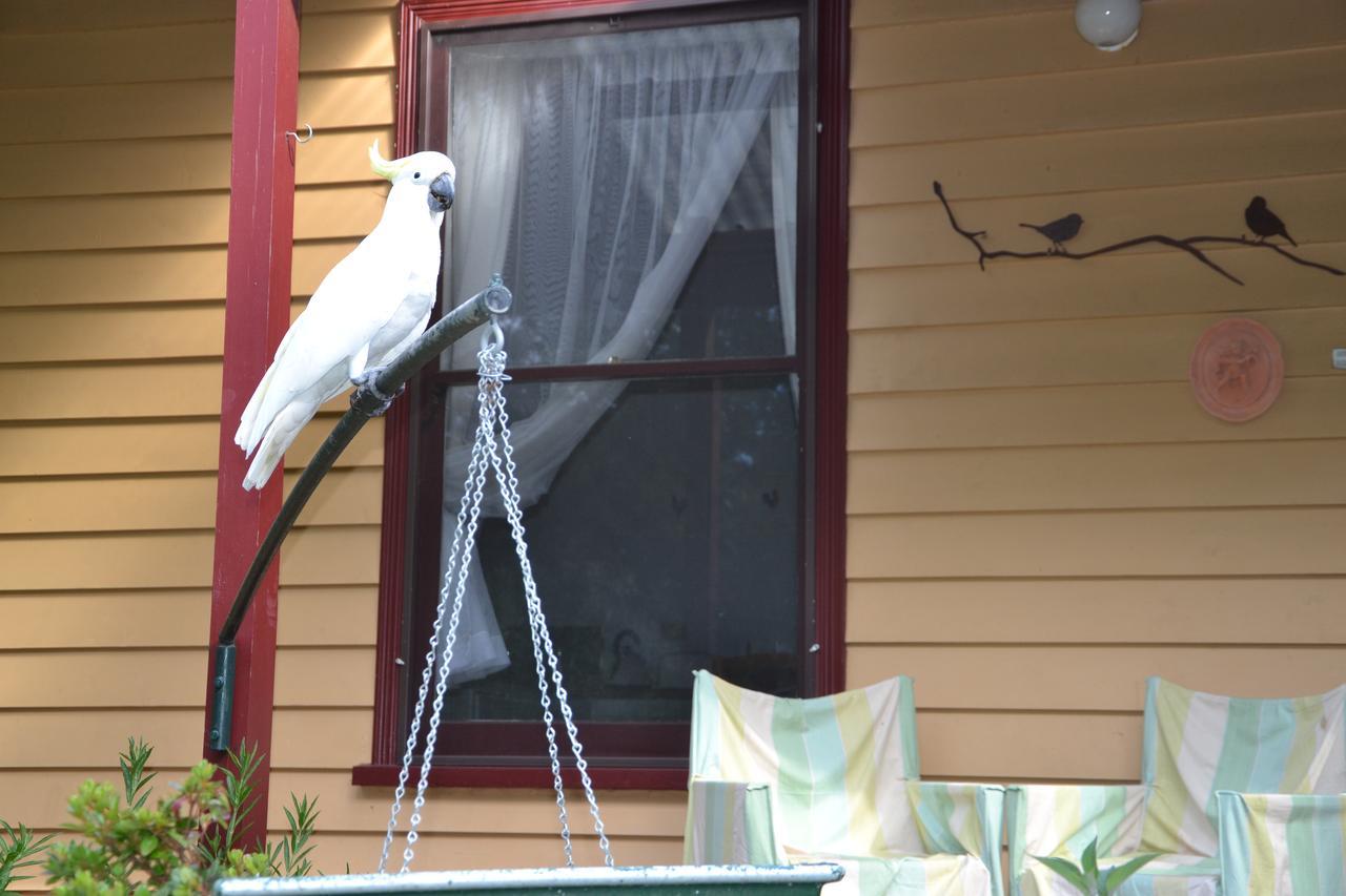 Lemonade Creek Cottages Lorne Buitenkant foto