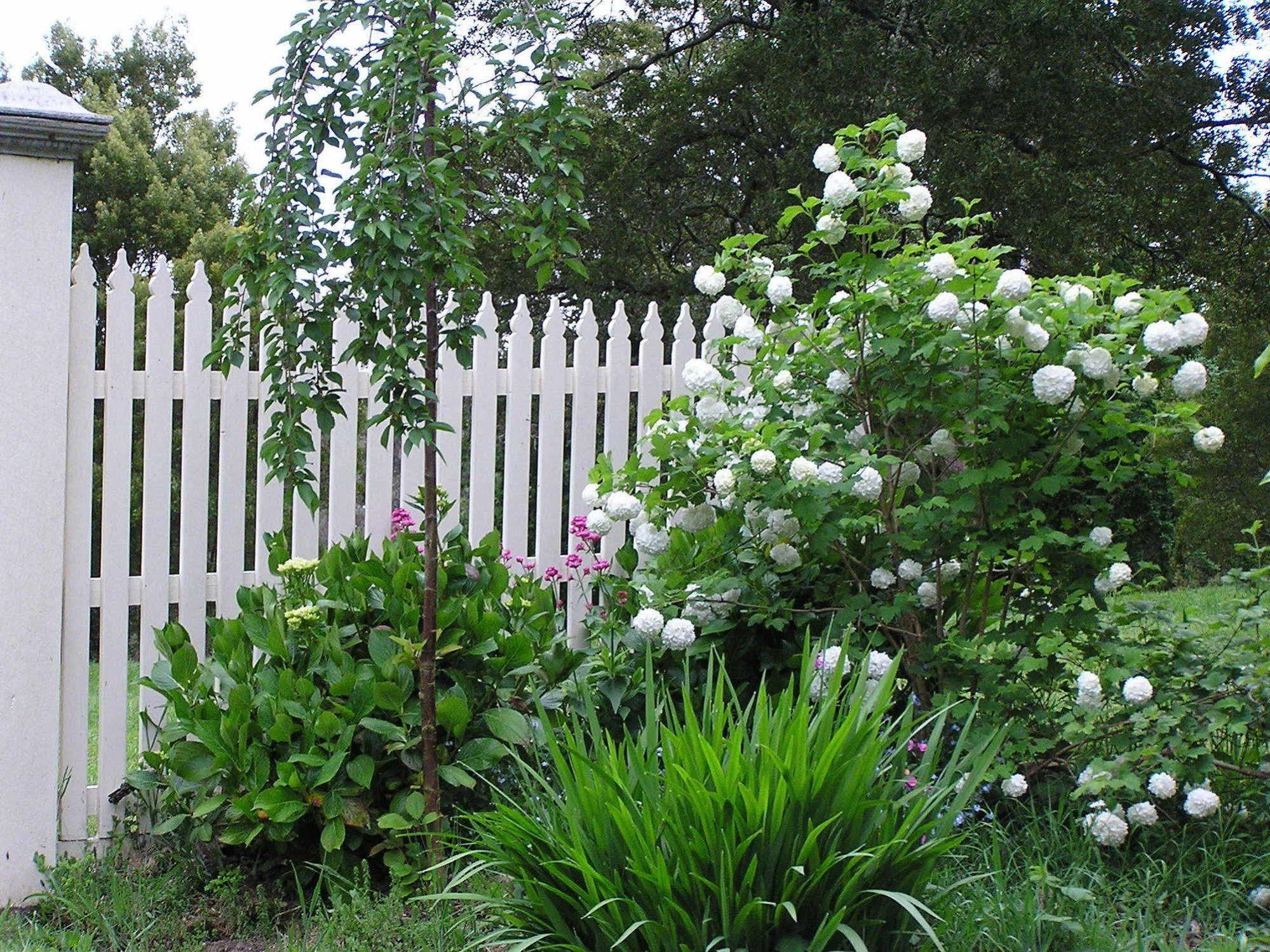Lemonade Creek Cottages Lorne Buitenkant foto