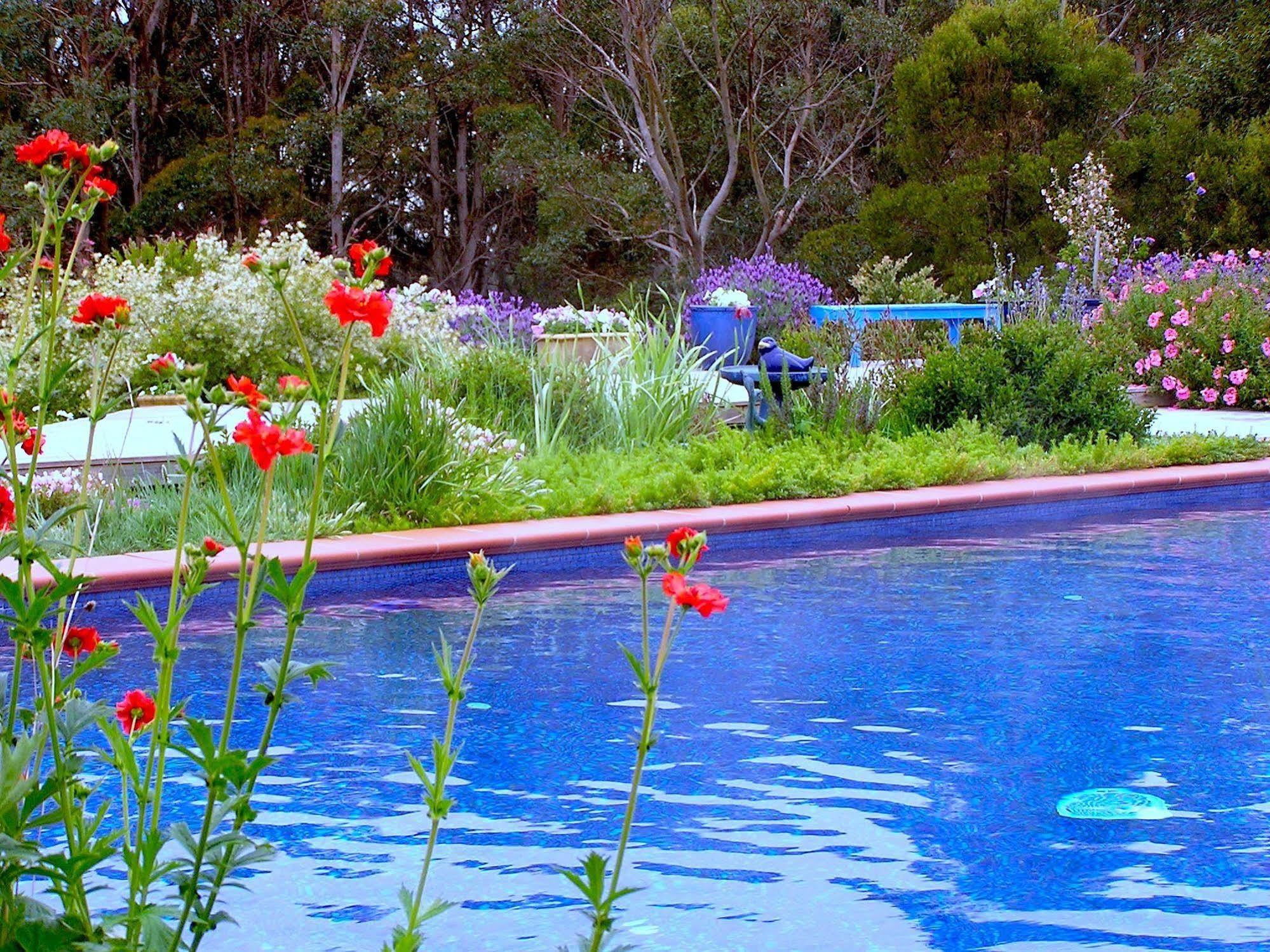 Lemonade Creek Cottages Lorne Buitenkant foto