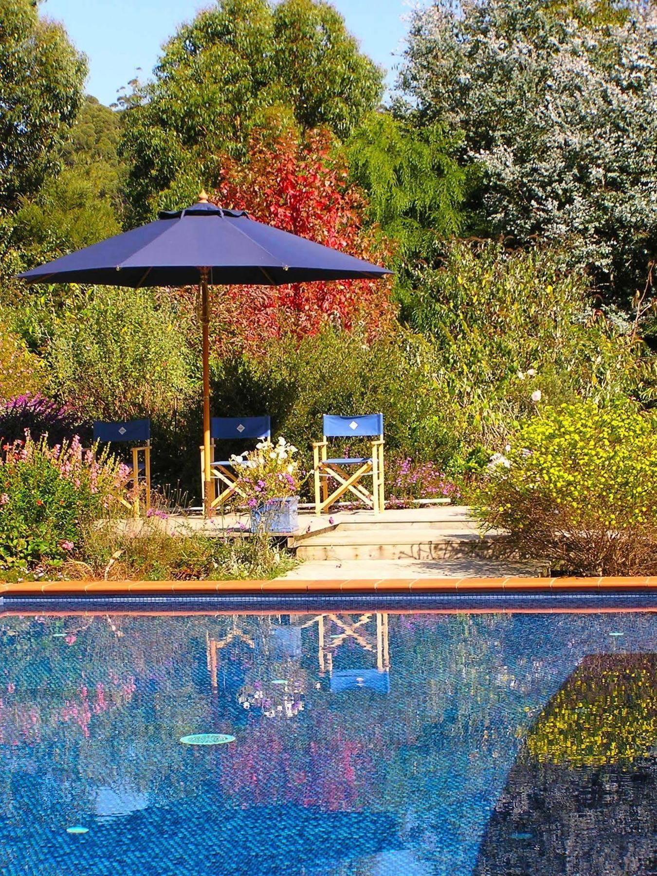 Lemonade Creek Cottages Lorne Buitenkant foto