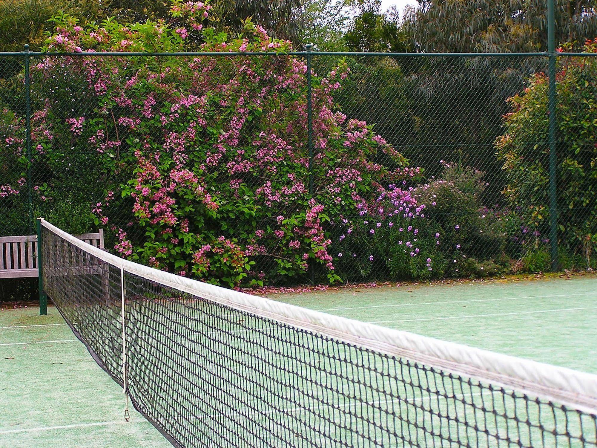 Lemonade Creek Cottages Lorne Buitenkant foto