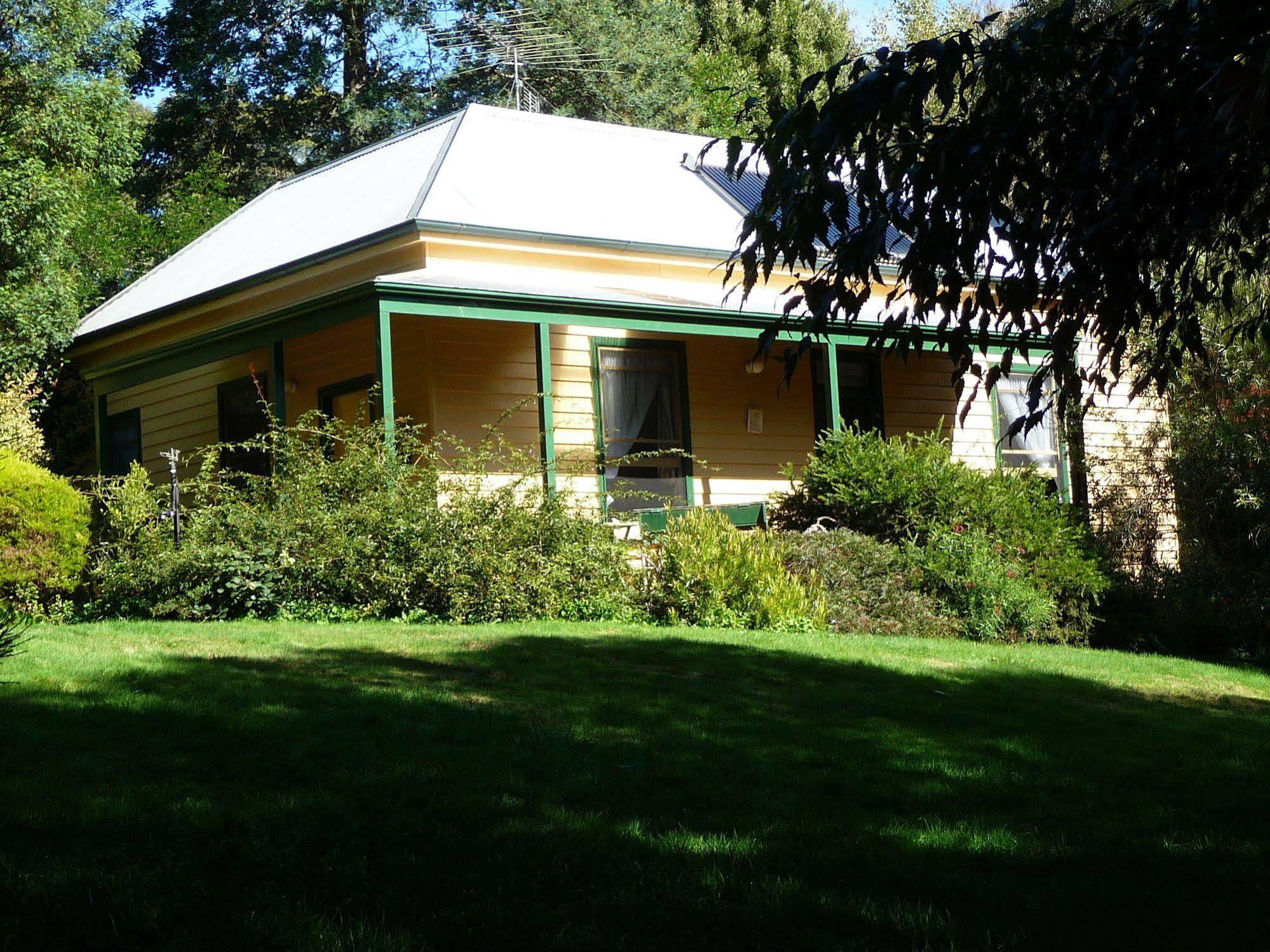 Lemonade Creek Cottages Lorne Buitenkant foto
