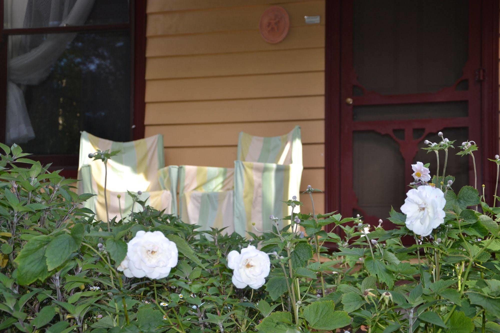 Lemonade Creek Cottages Lorne Buitenkant foto