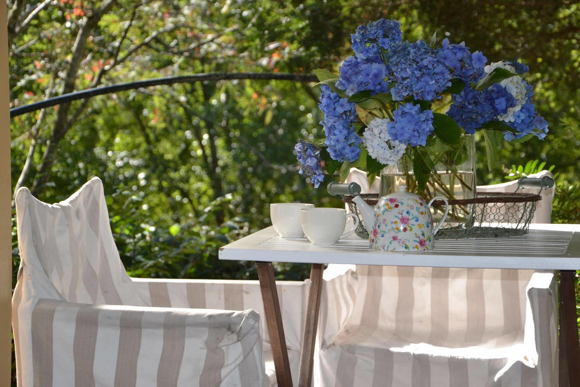 Lemonade Creek Cottages Lorne Buitenkant foto